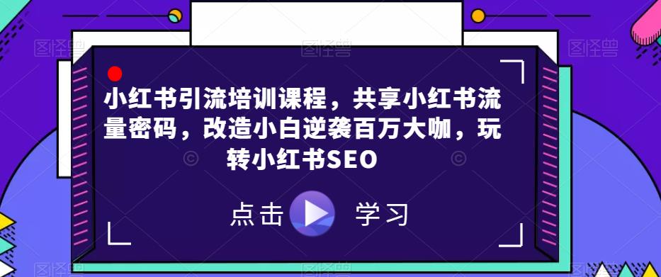 小红书引流培训课程，共享小红书流量密码，改造小白逆袭百万大咖，玩转小红书SEO-花生资源网