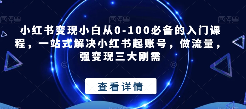 小红书变现小白从0-100必备的入门课程，一站式解决小红书起账号，做流量，强变现三大刚需 - 当动网创