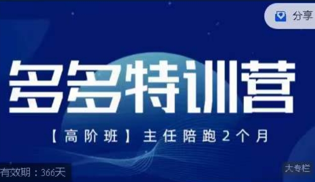 纪主任·多多特训营高阶班【9月13日更新】，拼多多最新玩法技巧落地实操-大海创业网