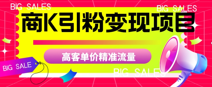 商K引粉变现项目，高客单价精准流量【揭秘】-启云分享