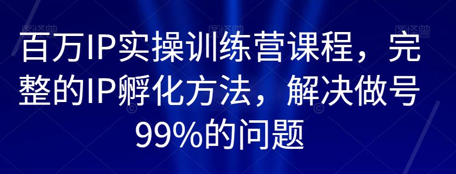 百万IP实操训练营课程，完整的IP孵化方法，解决做号99%的问题-枫客网创