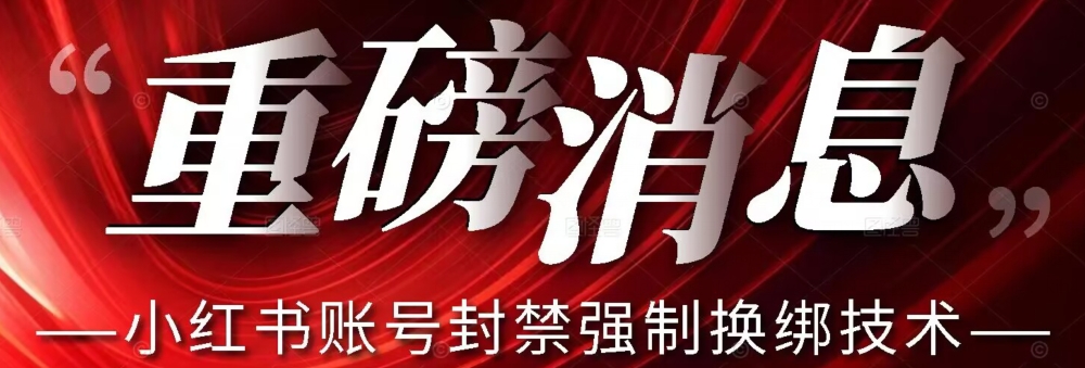 【最新】小红书账号封禁强制换绑技术可日赚300-大海创业网