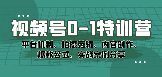 视频号0-1特训营：平台机制、拍摄剪辑、内容创作、爆款公式，实战案例分享-大海创业网