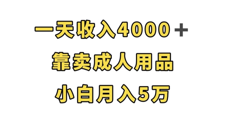 一天收入4000+，靠卖成人用品，小白轻松月入5万【揭秘】-北少网创