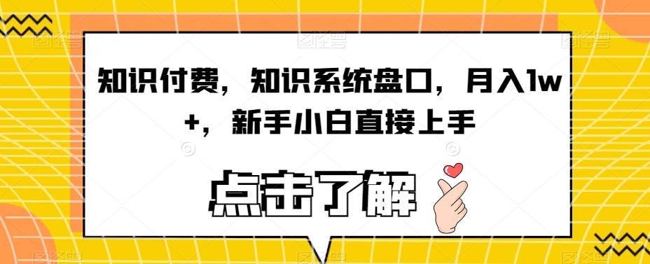 知识付费，知识系统盘口，月入1w+，新手小白直接上手-大海创业网