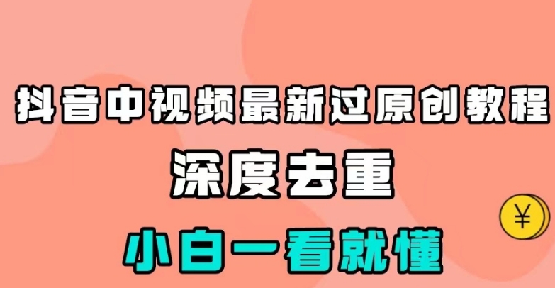 抖音中视频最新过原创教程，深度去重，小白一看就懂【揭秘】-大海创业网