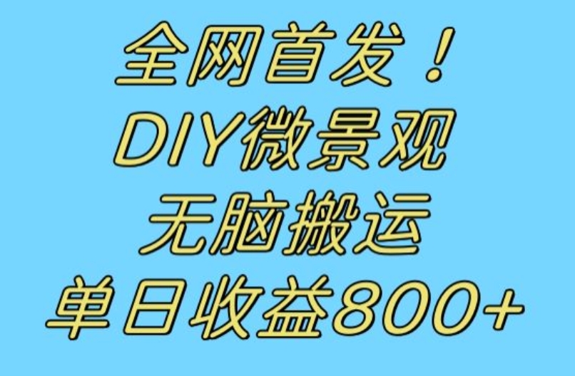 全网首发冷门赛道！DIY微景观，无脑搬运视频，日收益800+【揭秘】-大海创业网