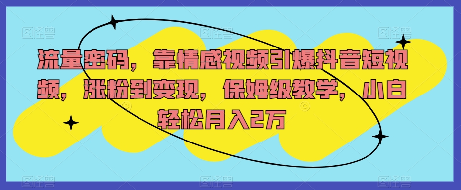 流量密码，靠情感视频引爆抖音短视频，涨粉到变现，保姆级教学，小白轻松月入2万【揭秘】-花生资源网