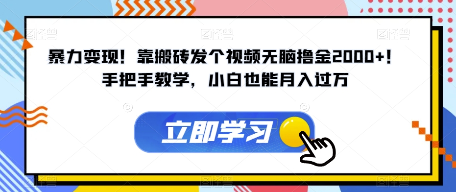 暴力变现！靠搬砖发个视频无脑撸金2000+！手把手教学，小白也能月入过万【揭秘】-诺贝网创