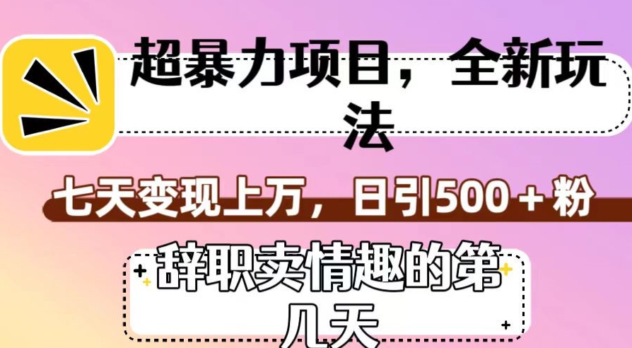 超暴利项目，全新玩法（辞职卖情趣的第几天），七天变现上万，日引500+粉【揭秘】-创享网