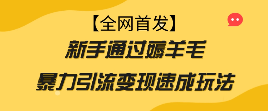 【全网首发】新手通过薅羊毛暴力引流变现速成玩法-我要项目网