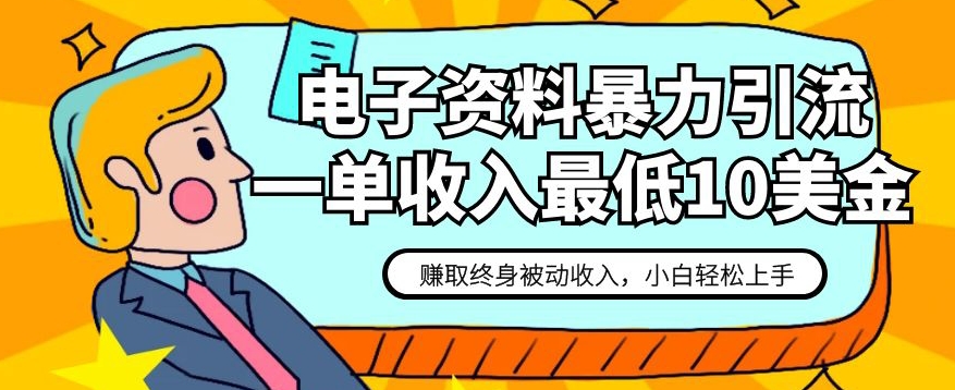 电子资料暴力引流，一单最低10美金，赚取终身被动收入，保姆级教程【揭秘】-大海创业网