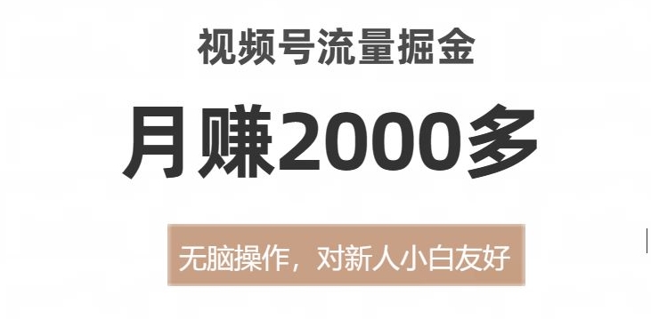 视频号流量掘金，无脑操作，对新人小白友好，月赚2000多【揭秘】 - 当动网创