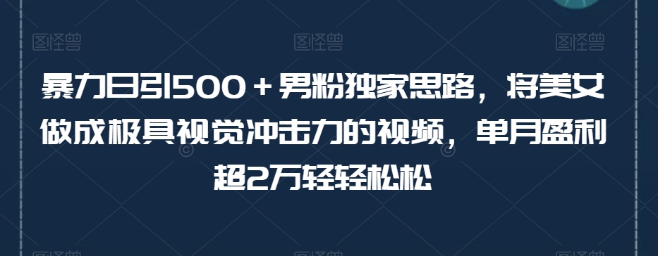 暴力日引500＋男粉独家思路，将美女做成极具视觉冲击力的视频，单月盈利超2万轻轻松松 - 当动网创