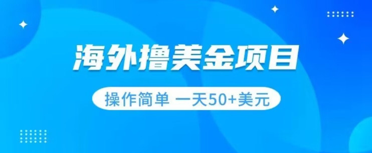 撸美金项目无门槛操作简单小白一天50+美刀-枫客网创