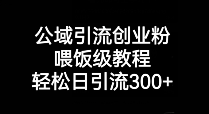 公域引流创业粉，喂饭级教程，轻松日引流300+【揭秘】-我要项目网