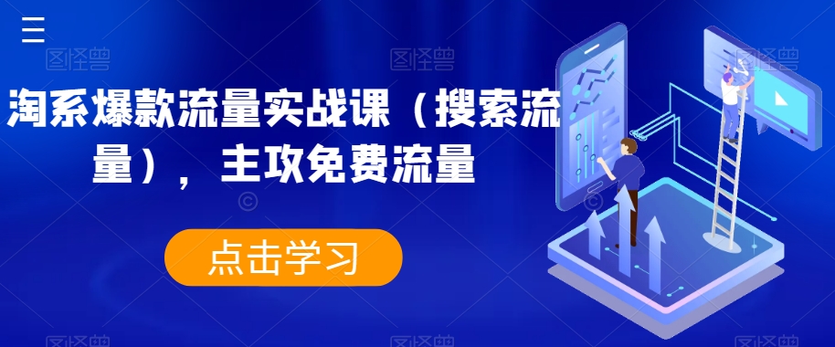 淘系爆款流量实战课（搜索流量），主攻免费流量-大海创业网