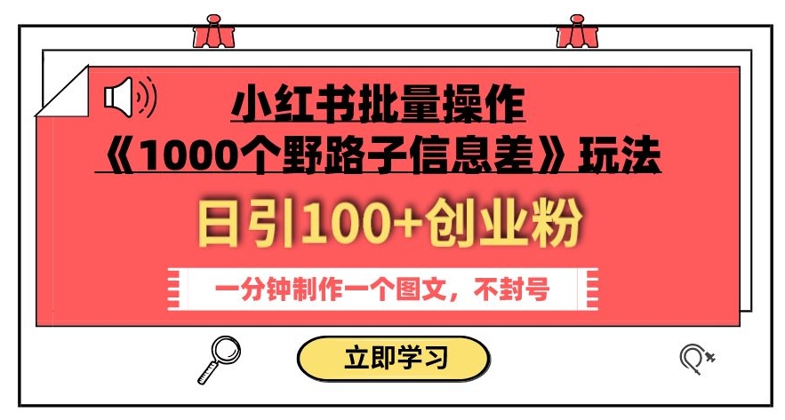 小红书批量操作《1000个野路子信息差》玩法，一分钟制作一个图文，不封号，日引100+创业粉-搞点网创库