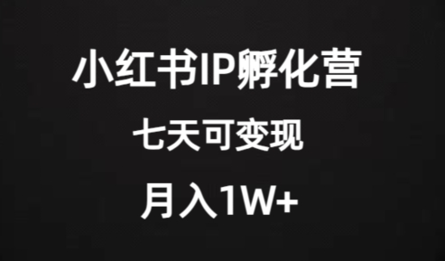 价值2000+的小红书IP孵化营项目，超级大蓝海，七天即可开始变现，稳定月入1W+万项网-开启副业新思路 – 全网首发_高质量创业项目输出万项网