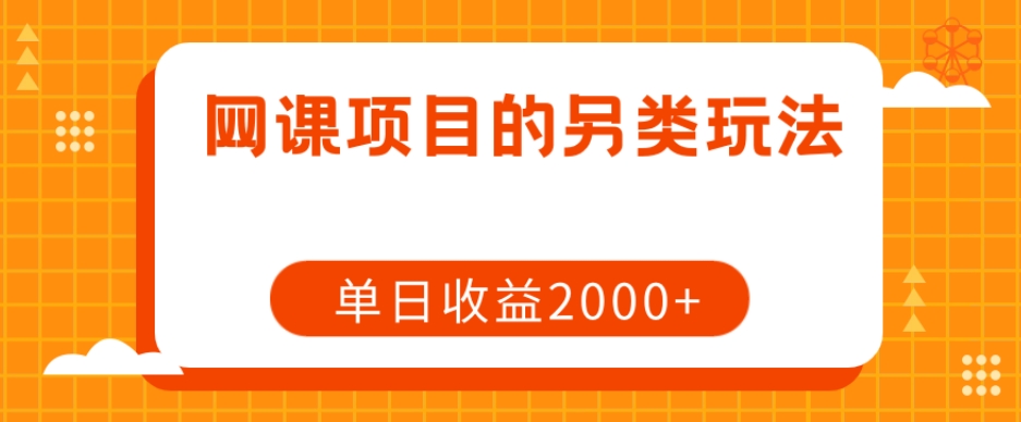 网课项目的另类玩法，单日收益2000+【揭秘】-大海创业网