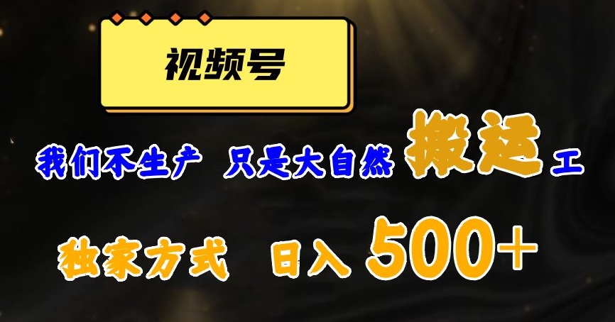 视频号轻松搬运日赚500+，一个1分钟1条原创视频【揭秘】 - 当动网创