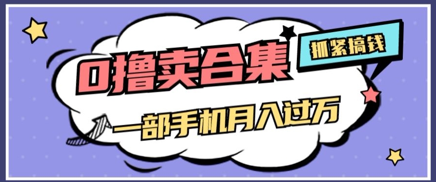 0撸项目月入过万，售卖全套ai工具合集，一单29.9元，一部手机即可【揭秘】-枫客网创