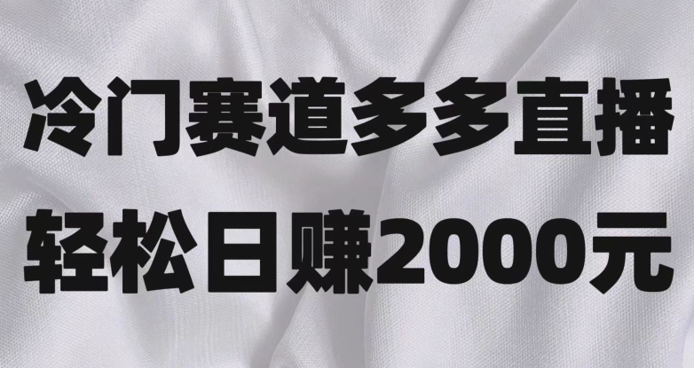 冷门赛道拼多多直播，简单念稿子，日收益2000＋【揭秘】-大海创业网