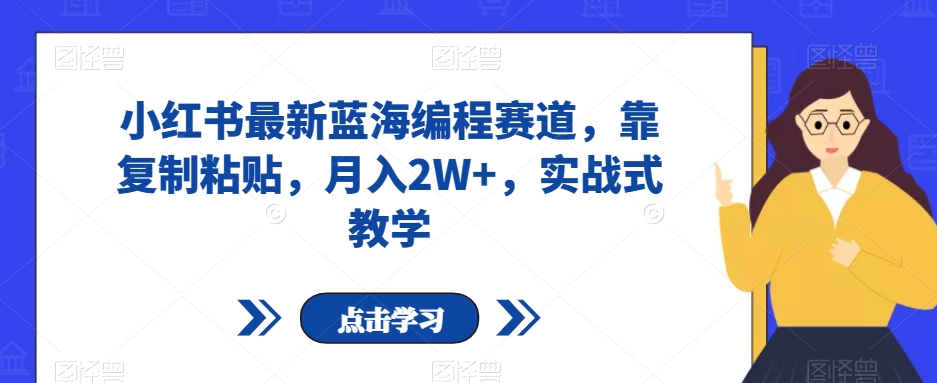 小红书最新蓝海编程赛道，靠复制粘贴，月入2W+，实战式教学【揭秘】 - 当动网创