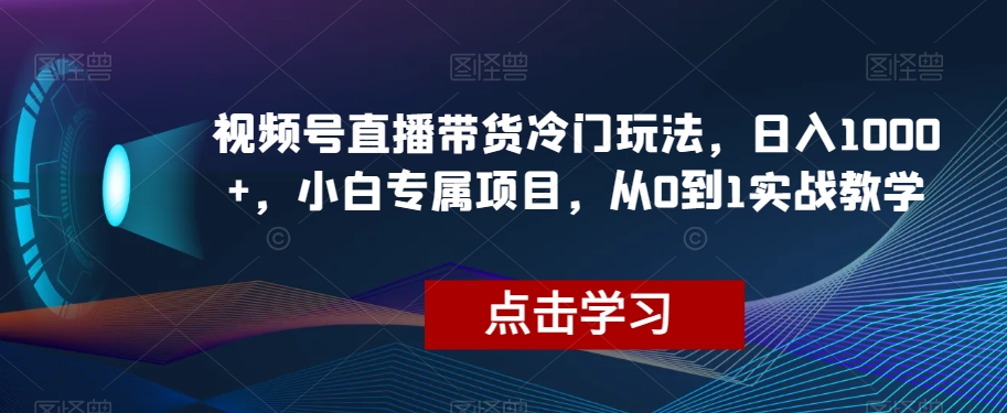 视频号直播带货冷门玩法，日入1000+，小白专属项目，从0到1实战教学【揭秘】清迈曼芭椰创赚-副业项目创业网清迈曼芭椰