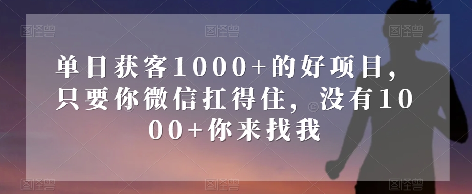 单日获客1000+的好项目，只要你微信扛得住，没有1000+你来找我【揭秘】-世纪学社