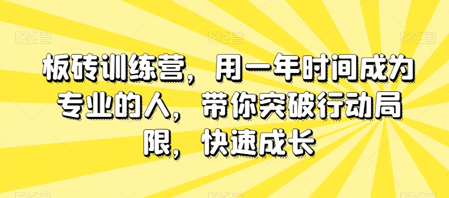 板砖训练营，用一年时间成为专业的人，带你突破行动局限，快速成长-诺贝网创