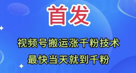 全网首发：视频号无脑搬运涨千粉技术，最快当天到千粉【揭秘】-天恒言财