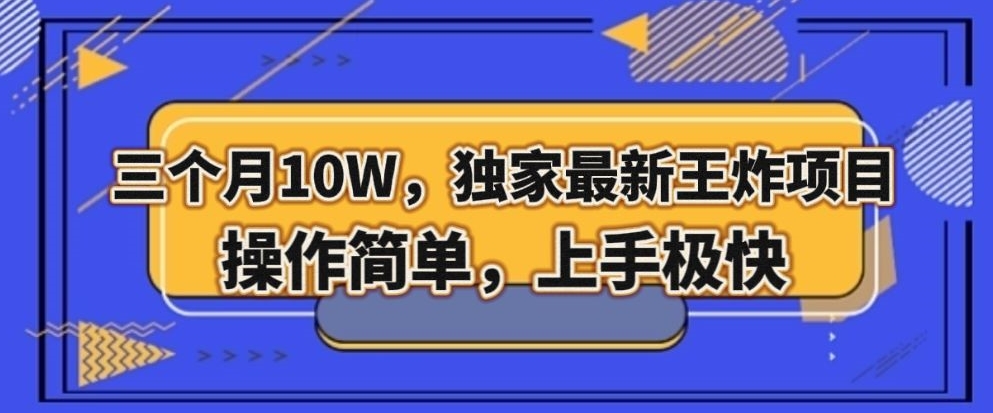 三个月10W，独家最新王炸项目！操作简单，上手极快【揭秘】-天恒言财