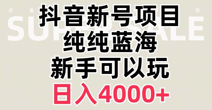 抖音蓝海赛道，必须是新账号，日入4000+【揭秘】-天恒言财