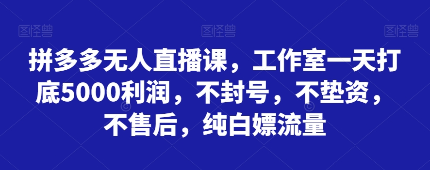 拼多多无人直播课，工作室一天打底5000利润，不封号，不垫资，不售后，纯白嫖流量-诺贝网创