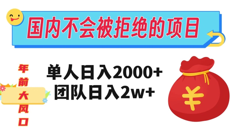 在国内不怕被拒绝的项目，单人日入2000，团队日入20000+【揭秘】-云网创