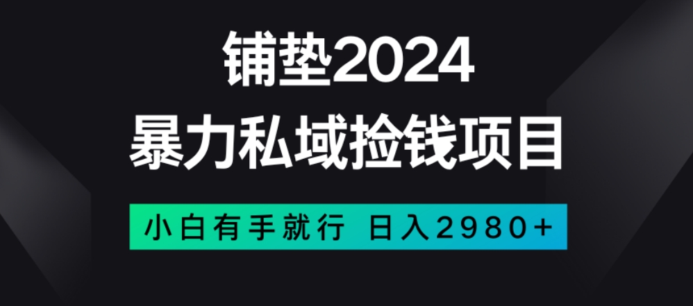 暴力私域捡钱项目，小白无脑操作，日入2980【揭秘】-大海创业网