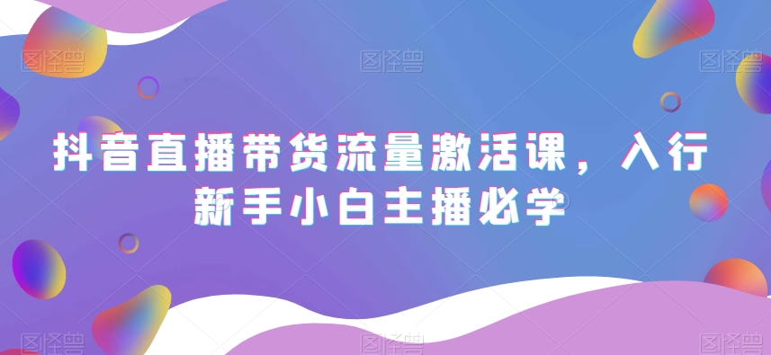 抖音直播带货流量激活课，入行新手小白主播必学-大海创业网