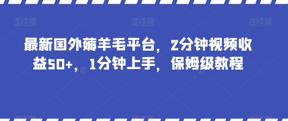 最新国外薅羊毛平台，2分钟视频收益50+，1分钟上手，保姆级教程【揭秘】-有道网创