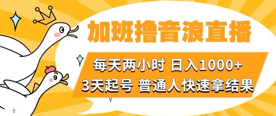 加班撸音浪直播，每天两小时，日入1000+，直播话术才3句，3天起号，普通人快速拿结果【揭秘】-深鱼云创