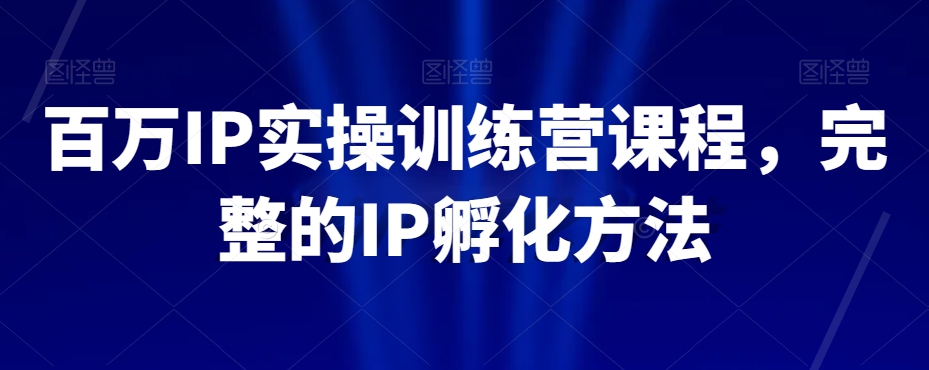 百万IP实操训练营课程，完整的IP孵化方法-休闲网赚three