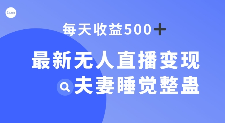 最新无人直播变现，夫妻睡觉整蛊，每天躺赚500+【揭秘】-创享网