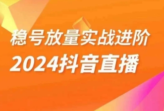 稳号放量实战进阶—2024抖音直播，直播间精细化运营的几大步骤-副创网