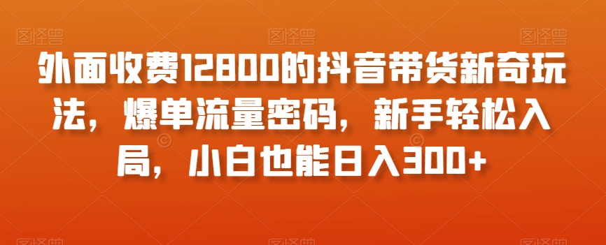 外面收费12800的抖音带货新奇玩法，爆单流量密码，新手轻松入局，小白也能日入300+【揭秘】-有道网创