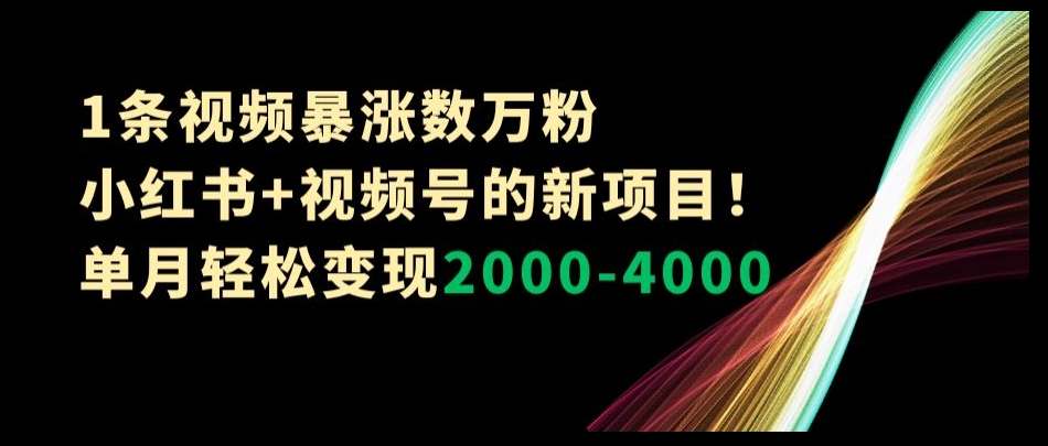 1条视频暴涨数万粉–小红书+视频号的新项目！单月轻松变现2000-4000【揭秘】-大海创业网