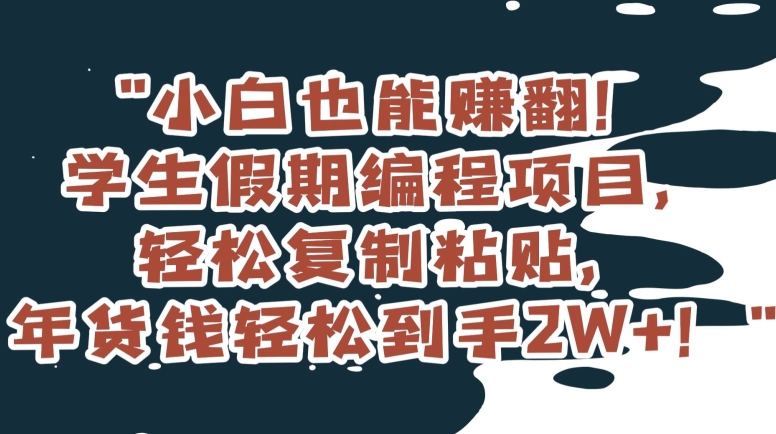 小白也能赚翻！学生假期编程项目，轻松复制粘贴，年货钱轻松到手2W+【揭秘】-云网创