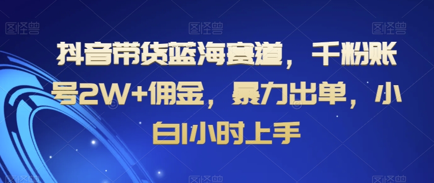 抖音带货蓝海赛道，千粉账号2W+佣金，暴力出单，小白1小时上手【揭秘】-八度网创