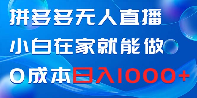 （8450期）拼多多无人直播，小白在家就能做，0成本日入1000+-随风网创