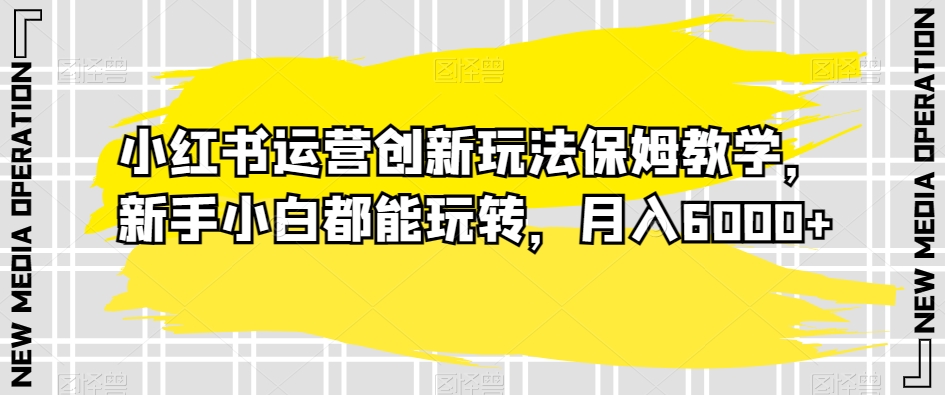 小红书运营创新玩法保姆教学，新手小白都能玩转，月入6000+【揭秘】-大海创业网