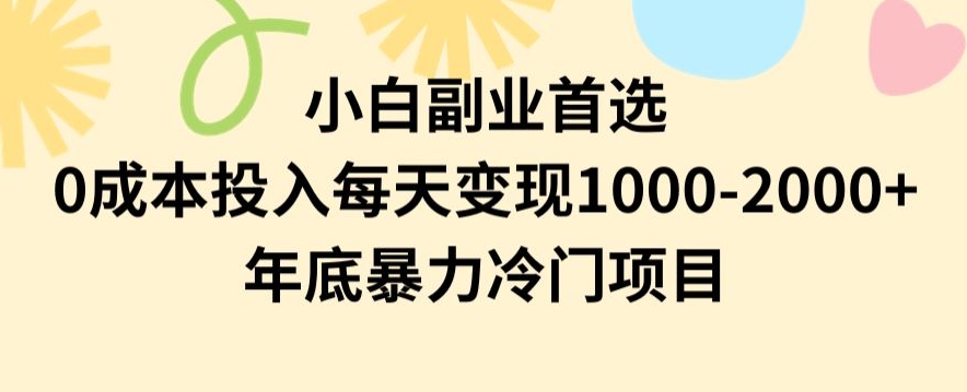 小白副业首选，0成本投入，每天变现1000-2000年底暴力冷门项目【揭秘】-枫客网创